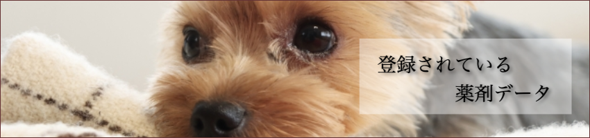 登録されている薬剤データ