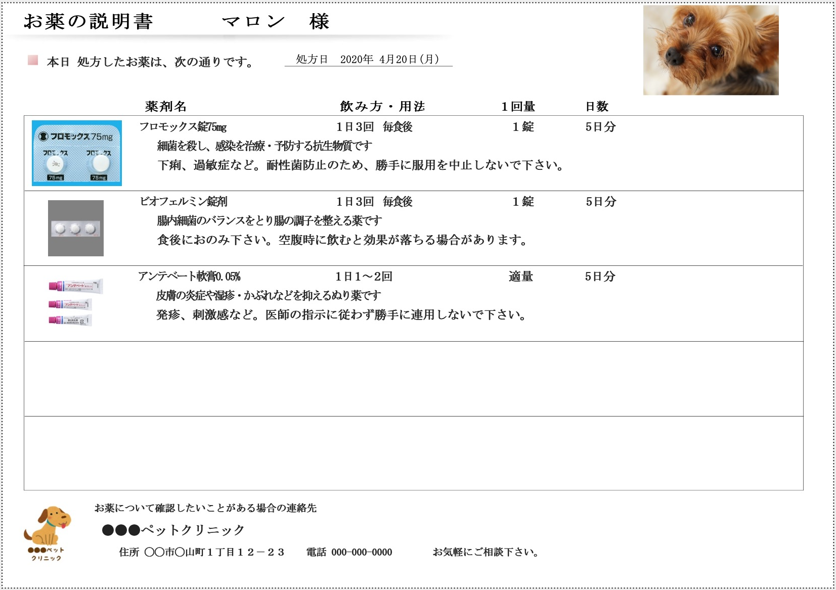 薬剤情報提供書の印刷結果
