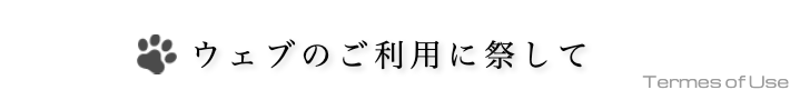 ウェブのご利用に際して